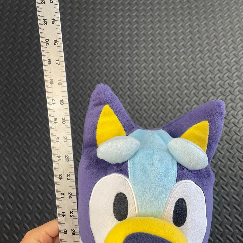 Bluey 18